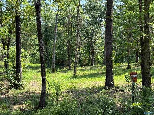 Land for sale in Cedar Bluff, Alabama