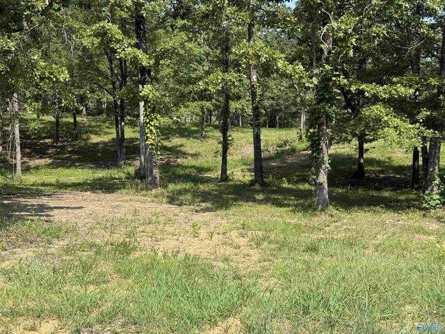 Land for sale in Cedar Bluff, Alabama