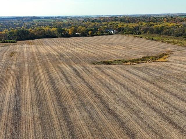 Land for sale in Waverly, Wright County