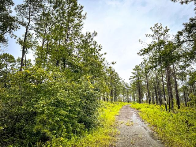 Land for sale in Jasper, Texas