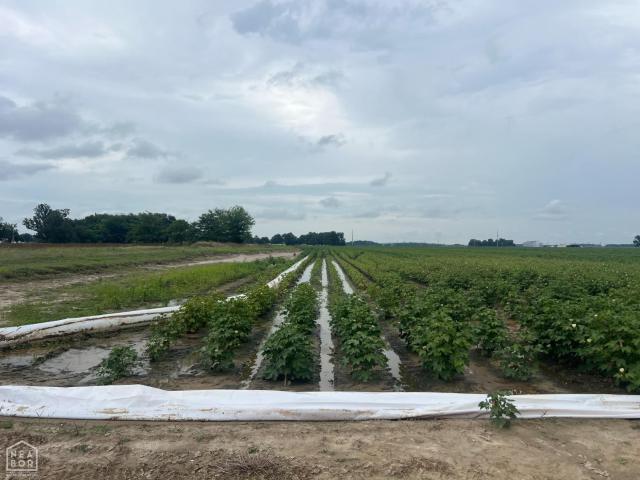 Farm for sale in Ark