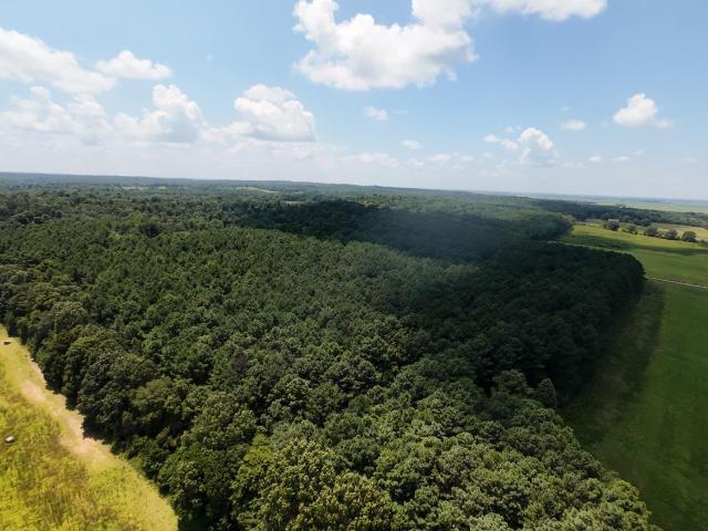 Farm for sale in Ark