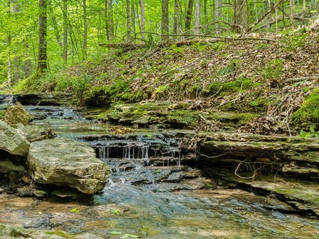 Farm for sale in Tennessee