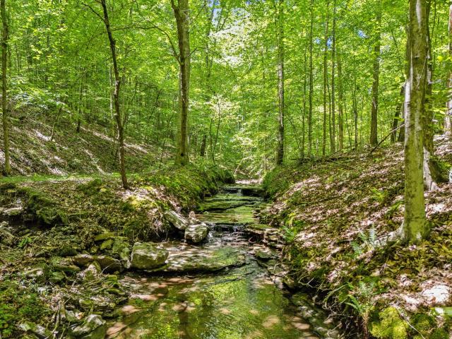 Land for sale in Tennessee