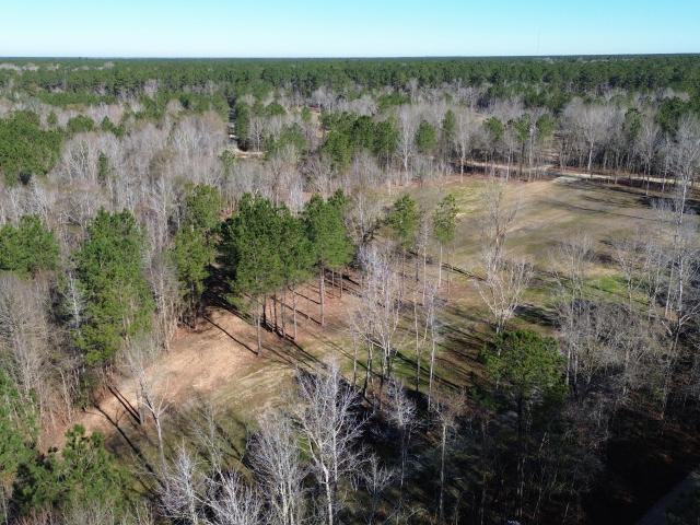 Land for sale in Huger, South Carolina
