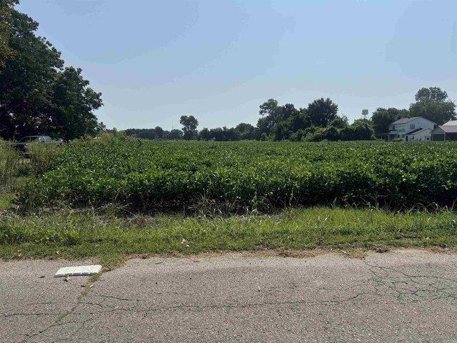 Land for sale in Blytheville, Mississippi County