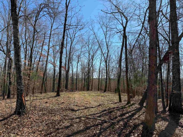Land for sale in Tennessee