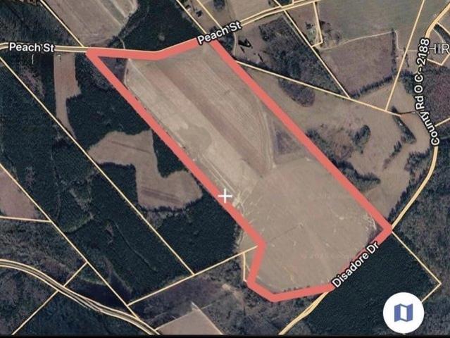 Land for sale in Neeses, South Carolina