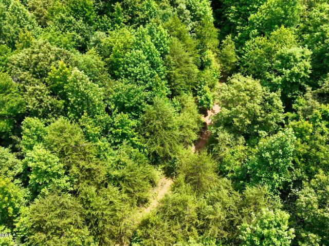 Land for sale in Drakesboro, Kentucky