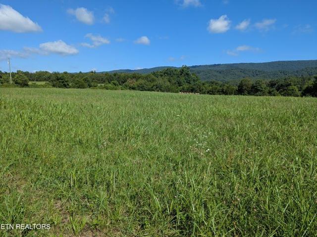 Land for sale in Tennessee
