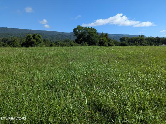 Land for sale in Tennessee