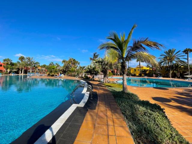 Apartamento en alquiler en Fuerteventura, Corralejo Playa