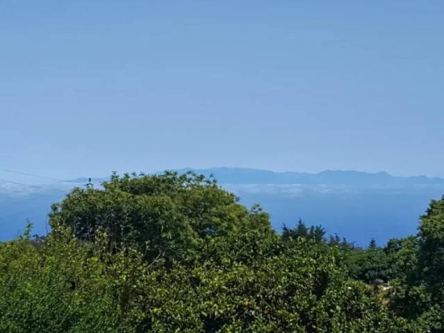 Apartamento en alquiler en Las Rosas, El Rosario