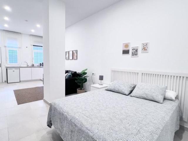 Apartamento en alquiler en Cruz de Humilladero, Málaga-Costa del Sol