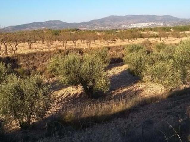 Casa en venta en Comarca de València, Valencia