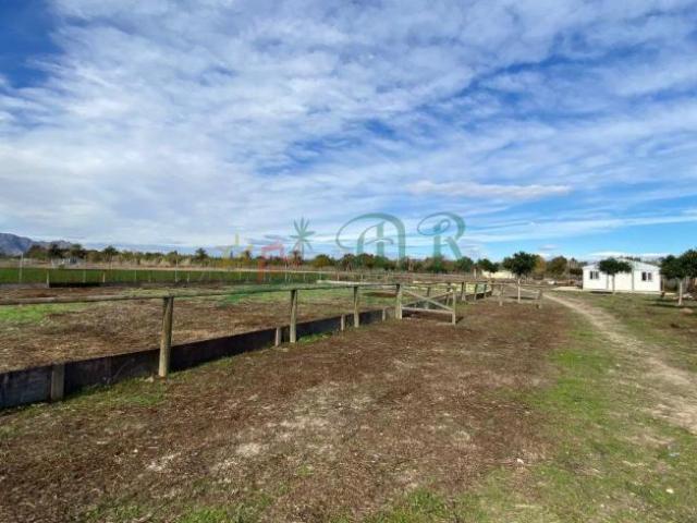 Casa en venta en el Baix Segura / La Vega Baja, Valencia