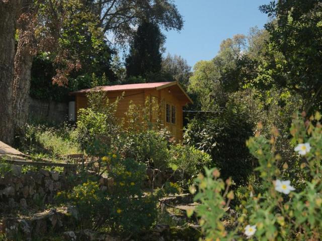 Casa en alquiler en la Selva, Catalunya