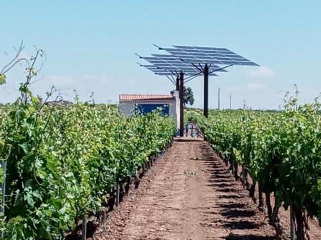 Casa en venta en Socuéllamos, Ciudad Real