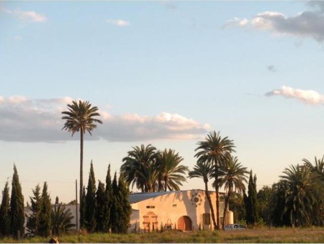 Habitación en alquiler en el Baix Vinalopó, Valencia