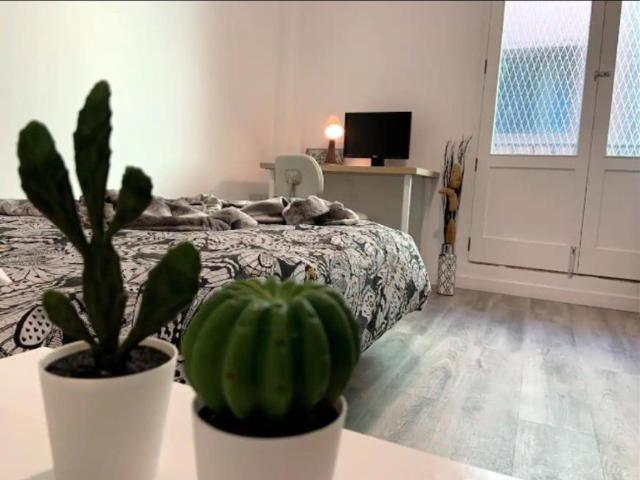 Habitación en alquiler en Gran Canaria, Fincas Unidas