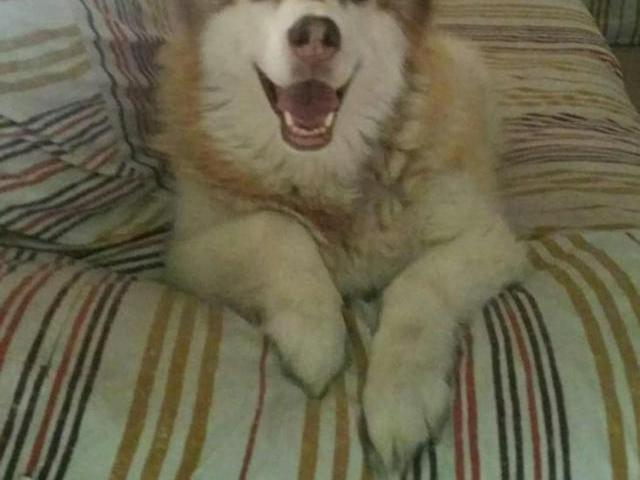 Habitación en alquiler en Parla, Madrid