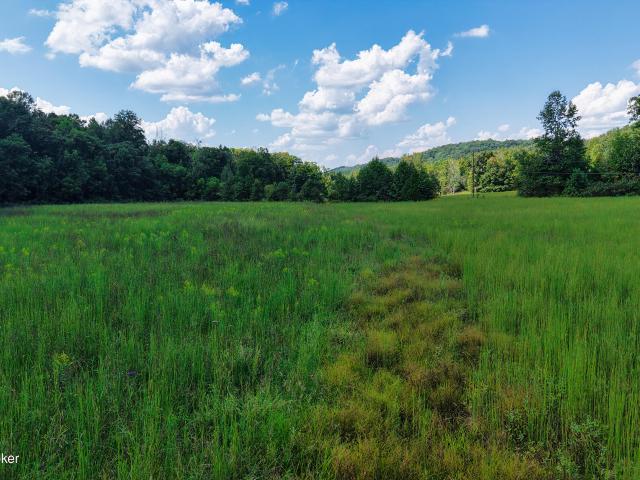 Land for sale in Kentucky
