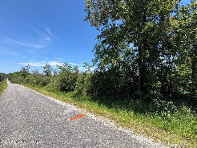 Land for sale in Lumberton, Mississippi