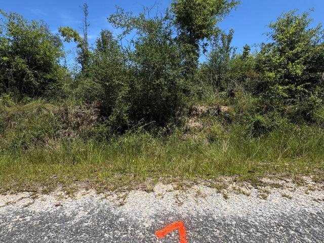 Land for sale in Lumberton, Mississippi