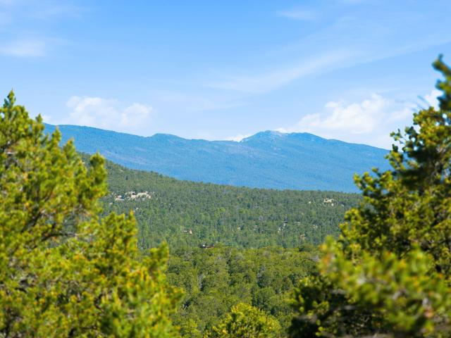 Land for sale in Placitas, New Mexico