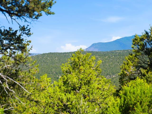Land for sale in Placitas, New Mexico