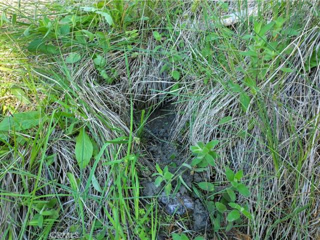 Land for sale in Fort Jones, California