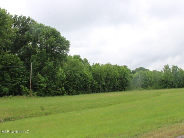 Land for sale in Byhalia, Mississippi