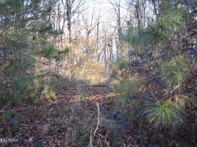 Land for sale in Tennessee