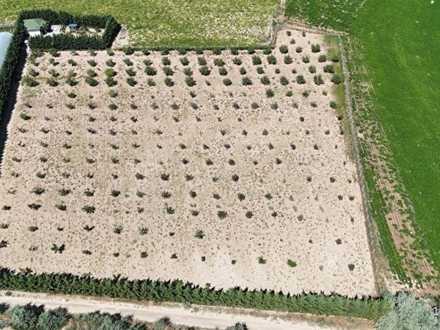 Nevşehir Merkez, Nevşehir içerisinde satılık Arsa