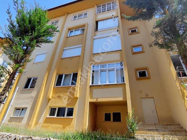 Sarikaya, Yozgat içerisinde satılık mülk