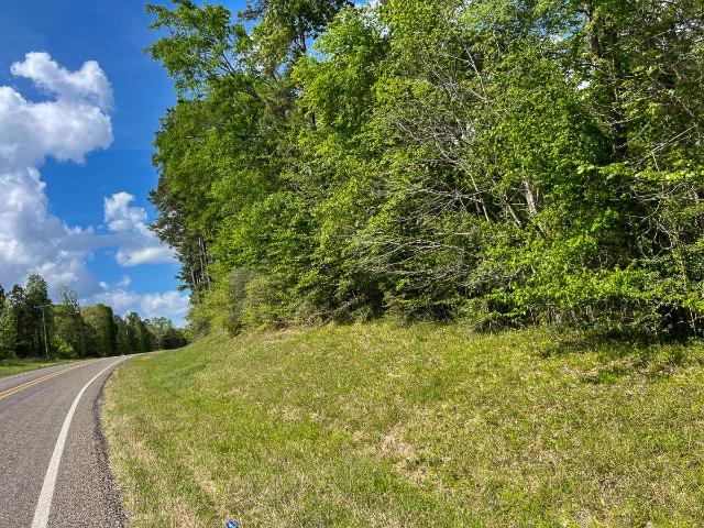 Land for sale in Polk, Texas