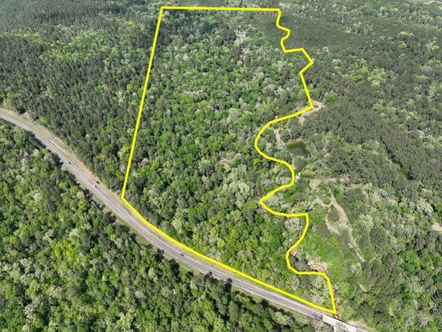 Land for sale in Polk, Texas