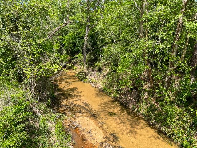 Land for sale in Polk, Texas