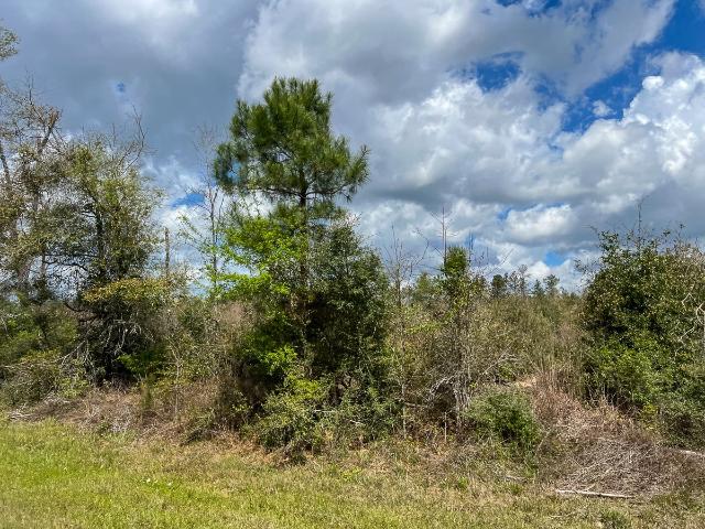 Land for sale in Hillister, Texas