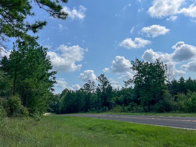 Land for sale in Newton, Texas