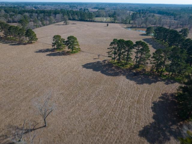 Farm for sale in Huntington, Texas