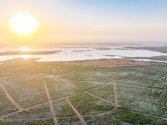 Land for sale in Sandia, Jim Wells County