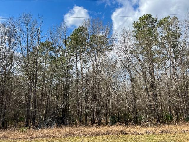 Land for sale in Saratoga, Texas