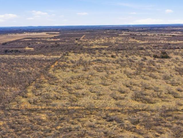 Land for sale in Moran, Texas