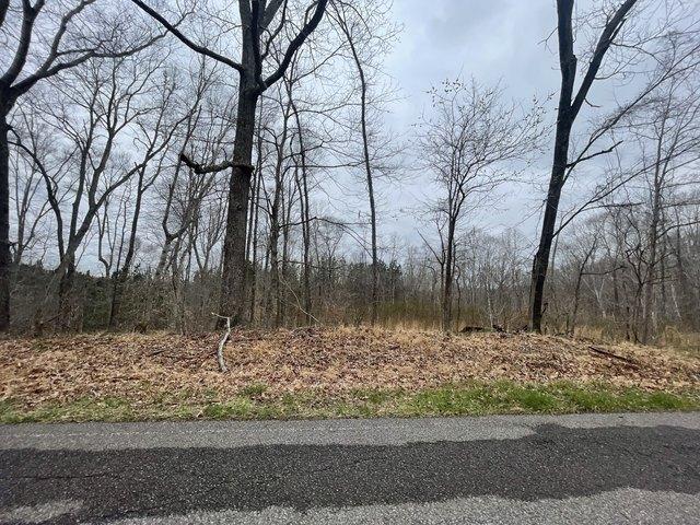Land for sale in Tennessee