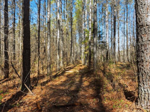 Farm for sale in West Tennessee, Tennessee