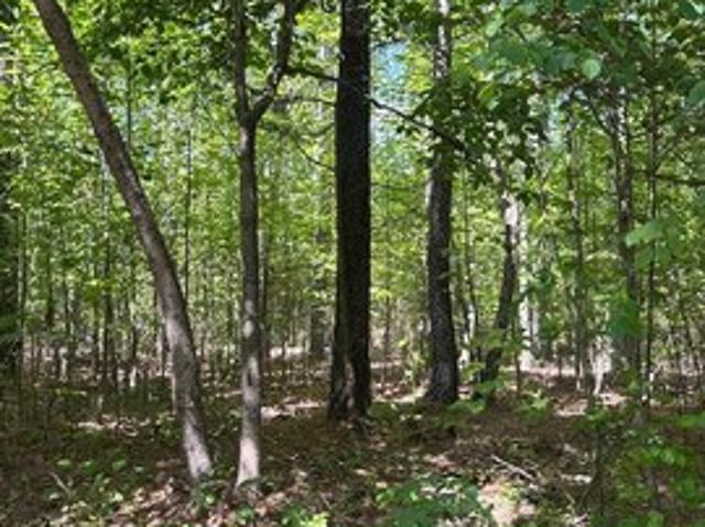 Land for sale in Virginia