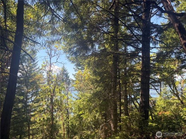 Land for sale in Quilcene, Washington
