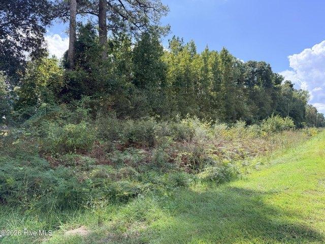 Land for sale in Bolivia, Brunswick County