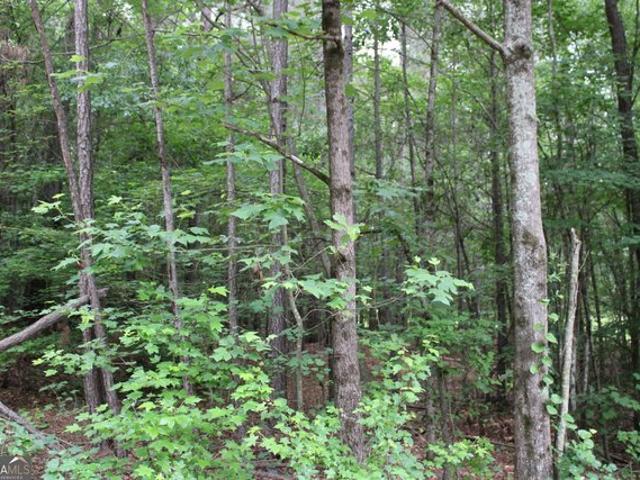Land for sale in Hull, Georgia
